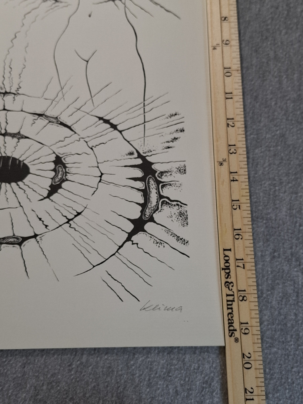 Rare German Kilma 1982 Limited Edition Ecorche' Art Print - Picture 2 of 11
